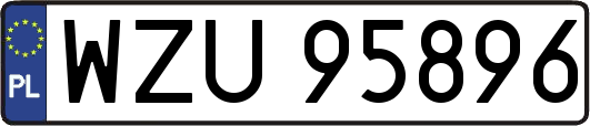 WZU95896