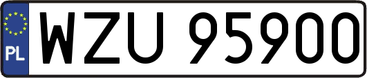 WZU95900