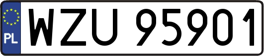 WZU95901
