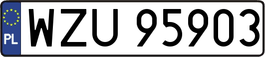 WZU95903