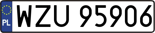 WZU95906