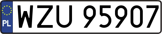 WZU95907