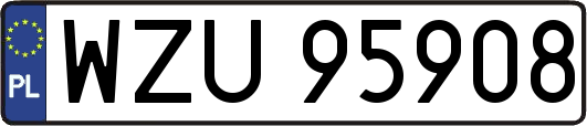 WZU95908