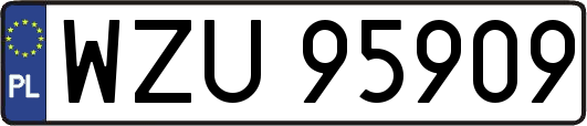 WZU95909