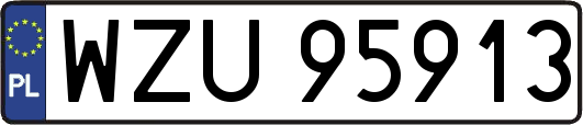 WZU95913