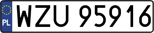 WZU95916