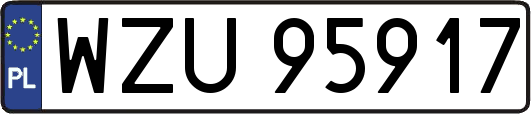 WZU95917