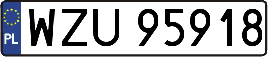 WZU95918