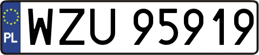 WZU95919