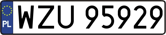 WZU95929