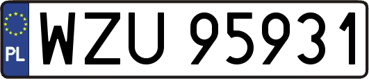 WZU95931