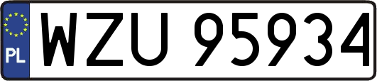 WZU95934