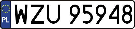 WZU95948