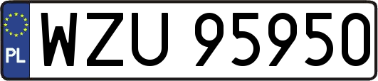 WZU95950