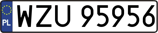 WZU95956