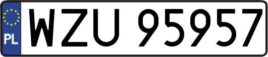 WZU95957