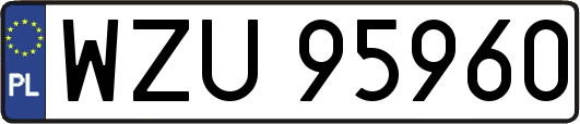 WZU95960