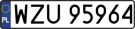 WZU95964