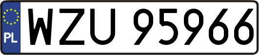 WZU95966