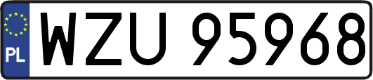 WZU95968