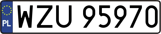 WZU95970