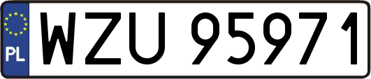 WZU95971