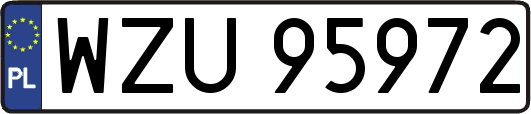 WZU95972