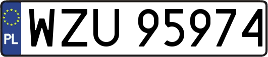 WZU95974