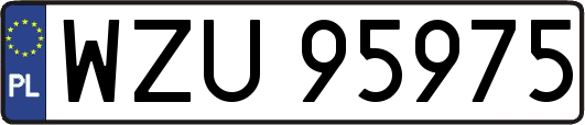 WZU95975