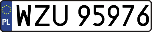WZU95976