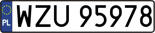 WZU95978