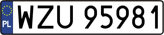 WZU95981