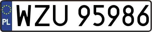 WZU95986