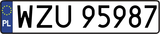 WZU95987