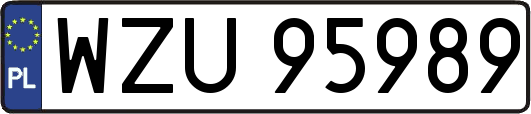 WZU95989