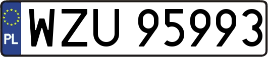 WZU95993