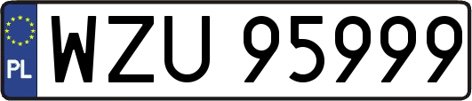WZU95999