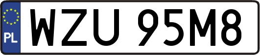 WZU95M8