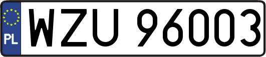 WZU96003