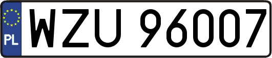 WZU96007