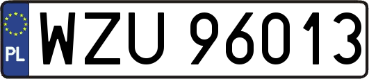 WZU96013