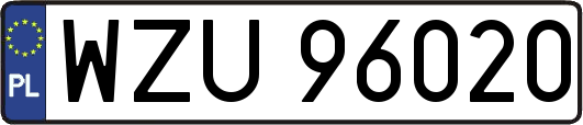 WZU96020