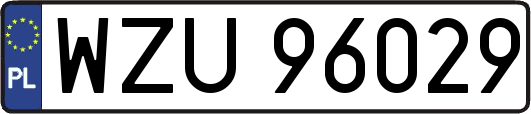 WZU96029