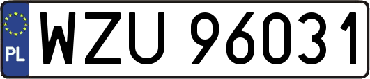 WZU96031