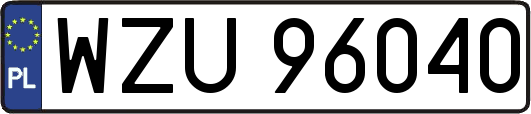 WZU96040
