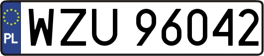WZU96042