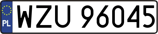 WZU96045