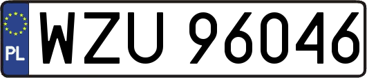 WZU96046