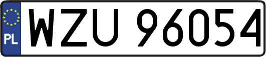 WZU96054