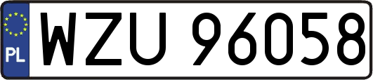 WZU96058